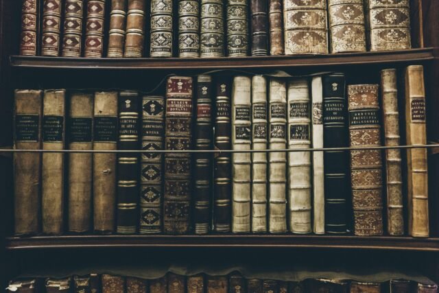 Bücherregal